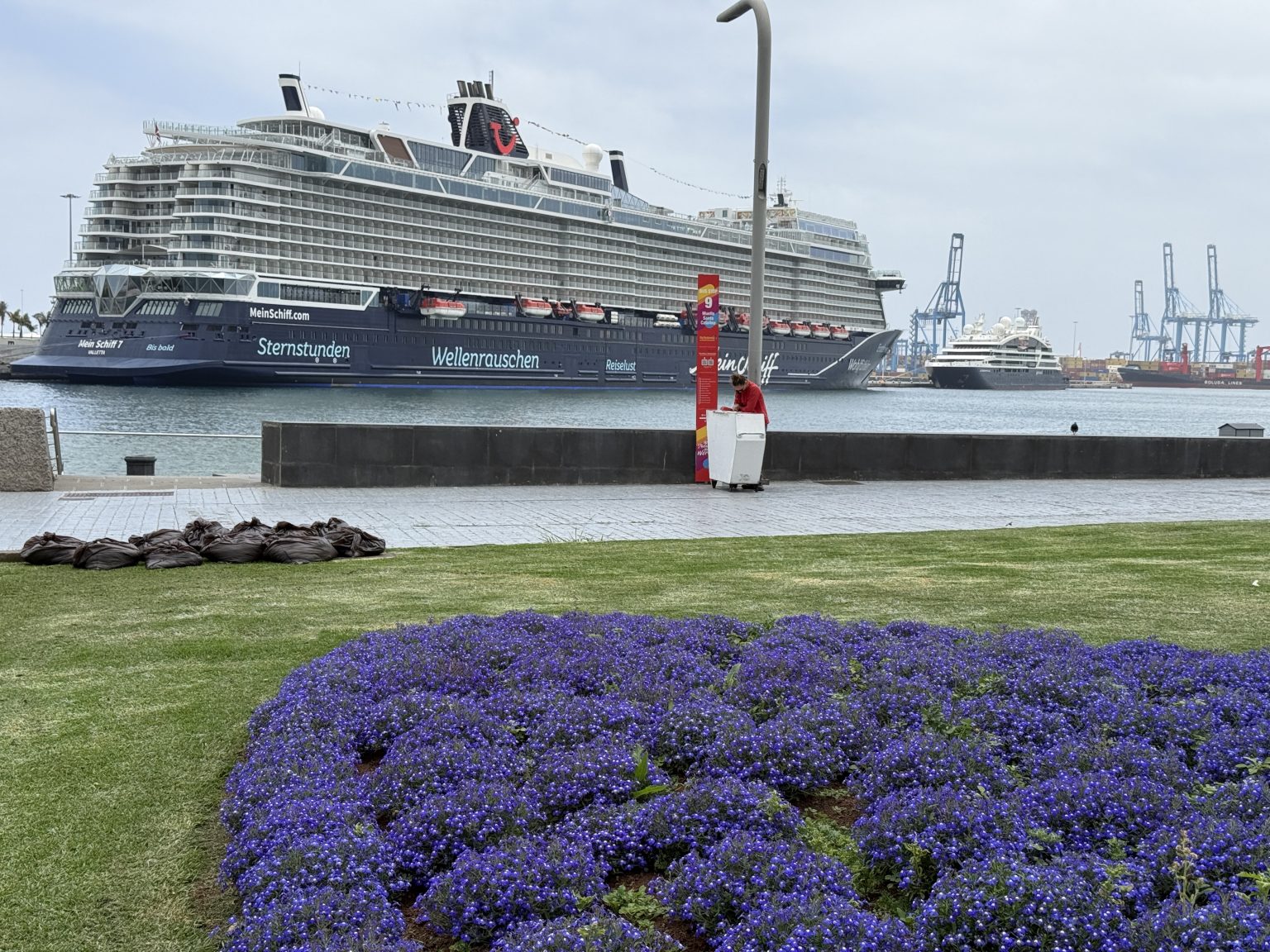 Kreuzfahrtschiff im Hafen von Las Palmas