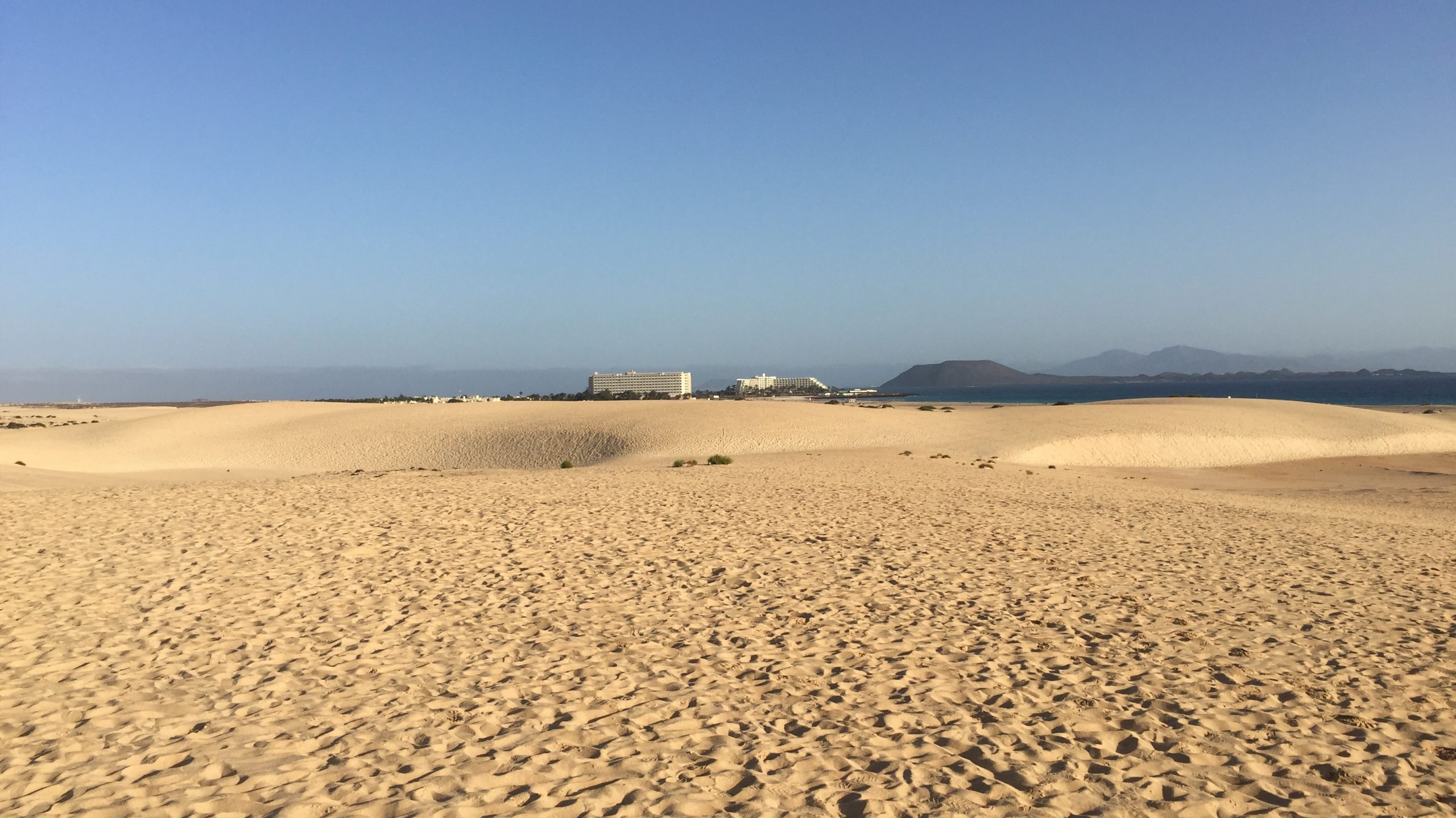 Dünen von Corralejo auf Fuerteventura mit Blick zum Meer