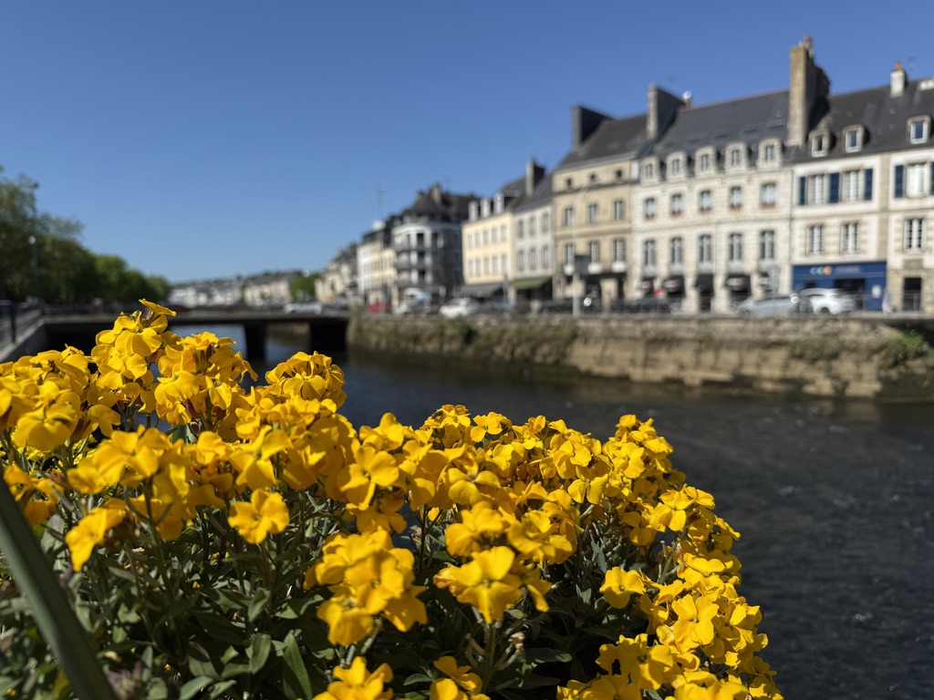 Blühende Uferpromenade als Motiv für persönliche Landgang-Tipps