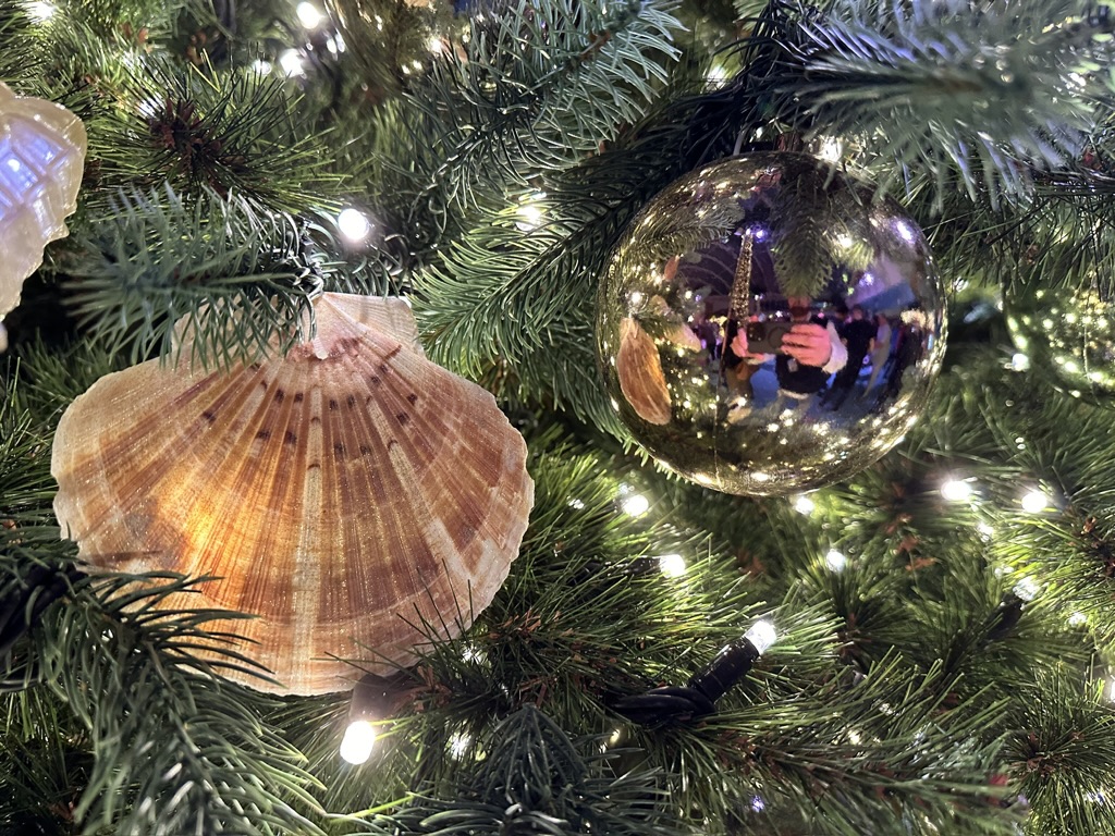 Muschel als Weihnachtsbaumschmuck auf AIDAnova