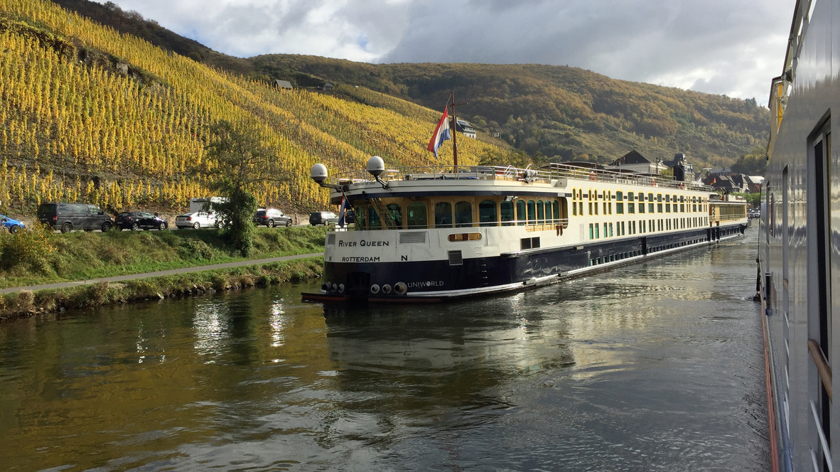Flusskreuzfahrtschiff vor herbstlichen Weinbergen an der Mosel