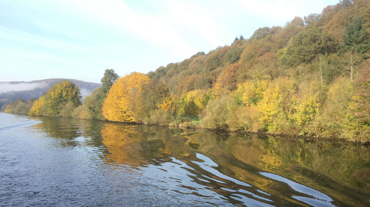 Herbstlich gefärbte Bäume spiegeln sich im Fluss