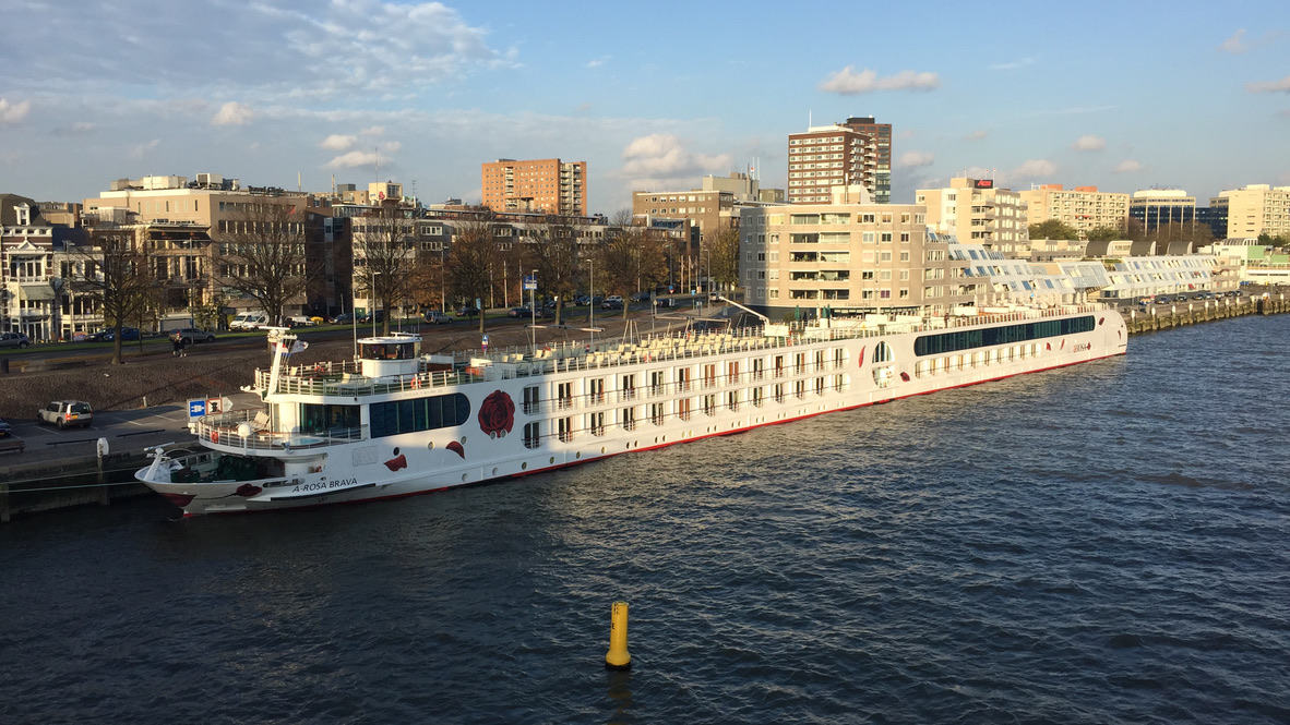 Flusskreuzfahrtschiff A-ROSA BRAVA an einem Anleger in Rotterdam
