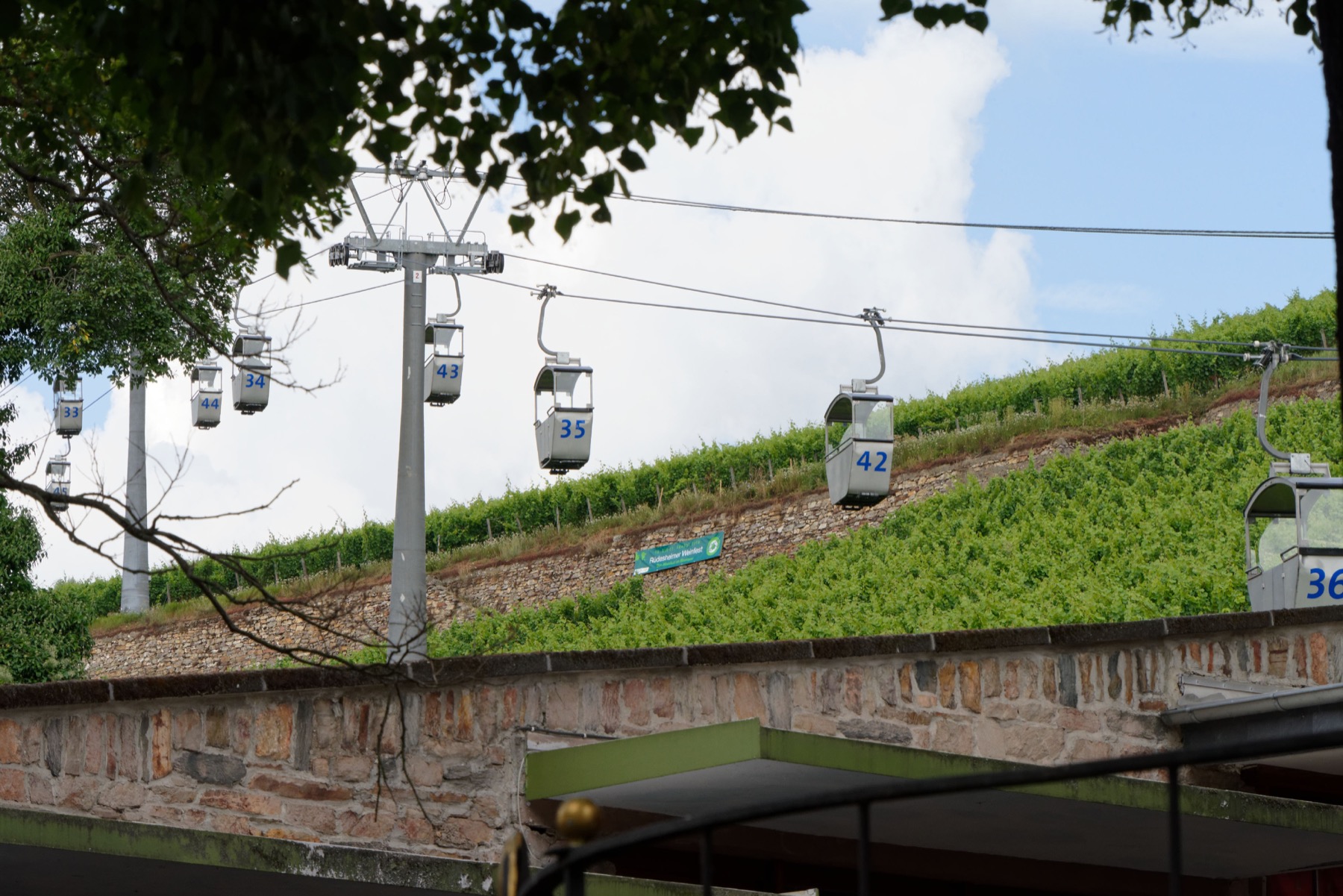 Seilbahn über den Weinbergen von Rüdesheim