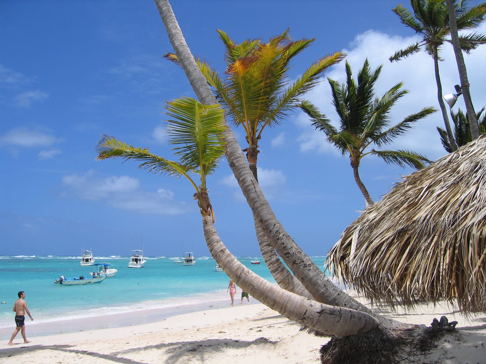 Palmen und türkisfarbenes Meer am Strand von Bávaro