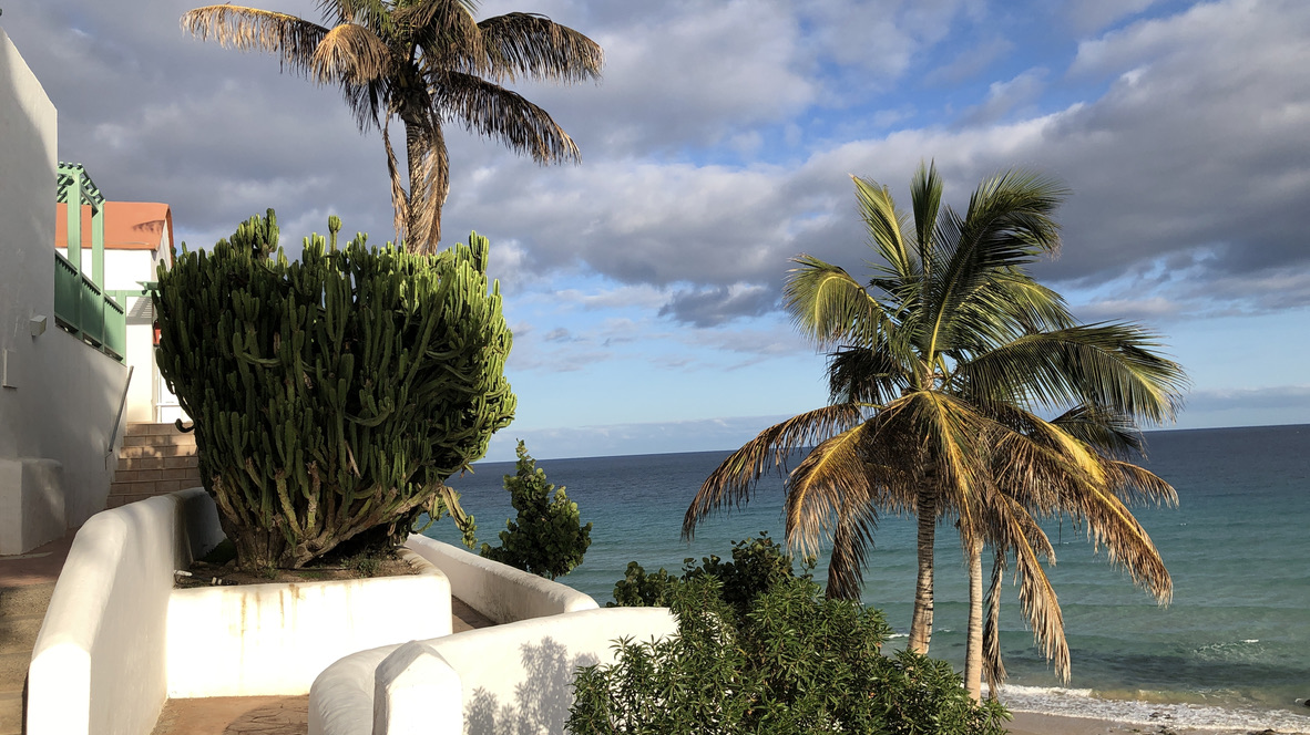 Palmen und Blick auf den Atlantik zwischen den Clubgebäuden