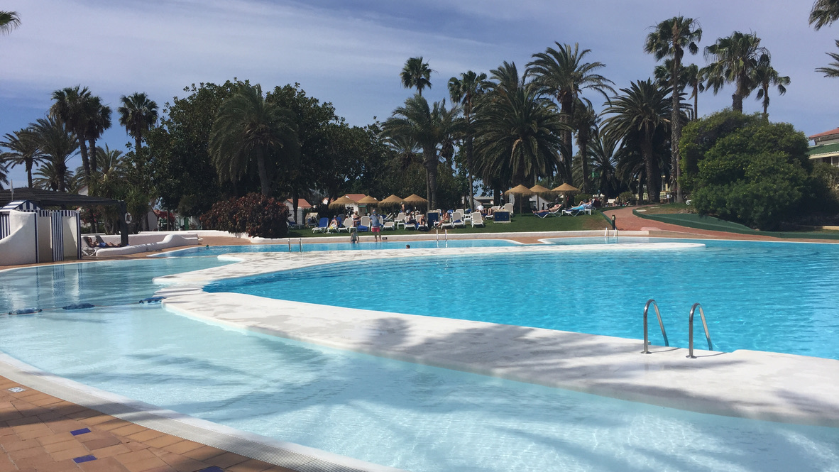 Pool und Liegebereiche unter Palmen